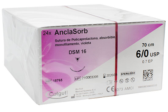 AnclaSorb Monofil.abs.violeta DSM16-6/0-70cm c/24